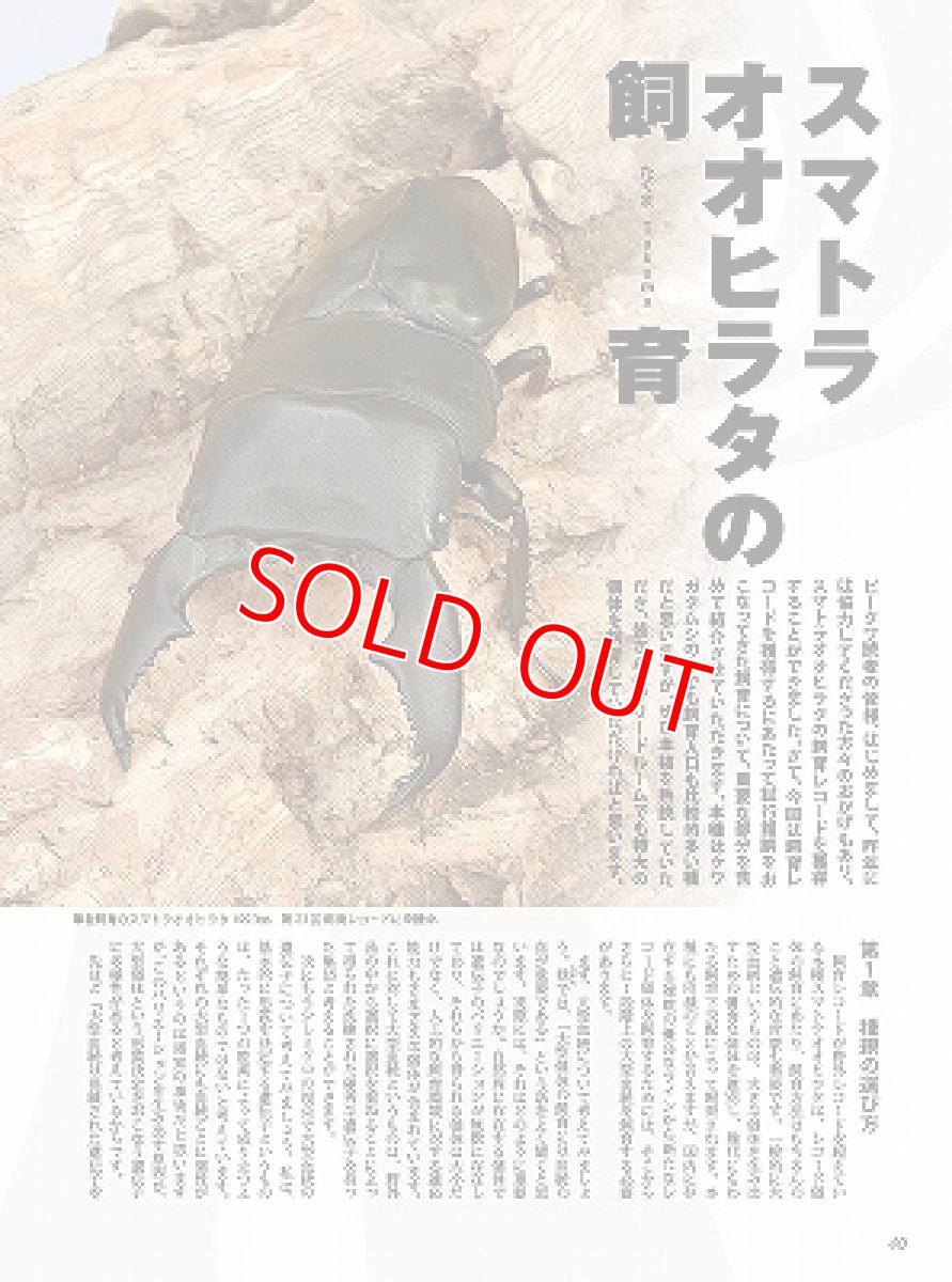 画像5: BE-KUWA No.88 (5)