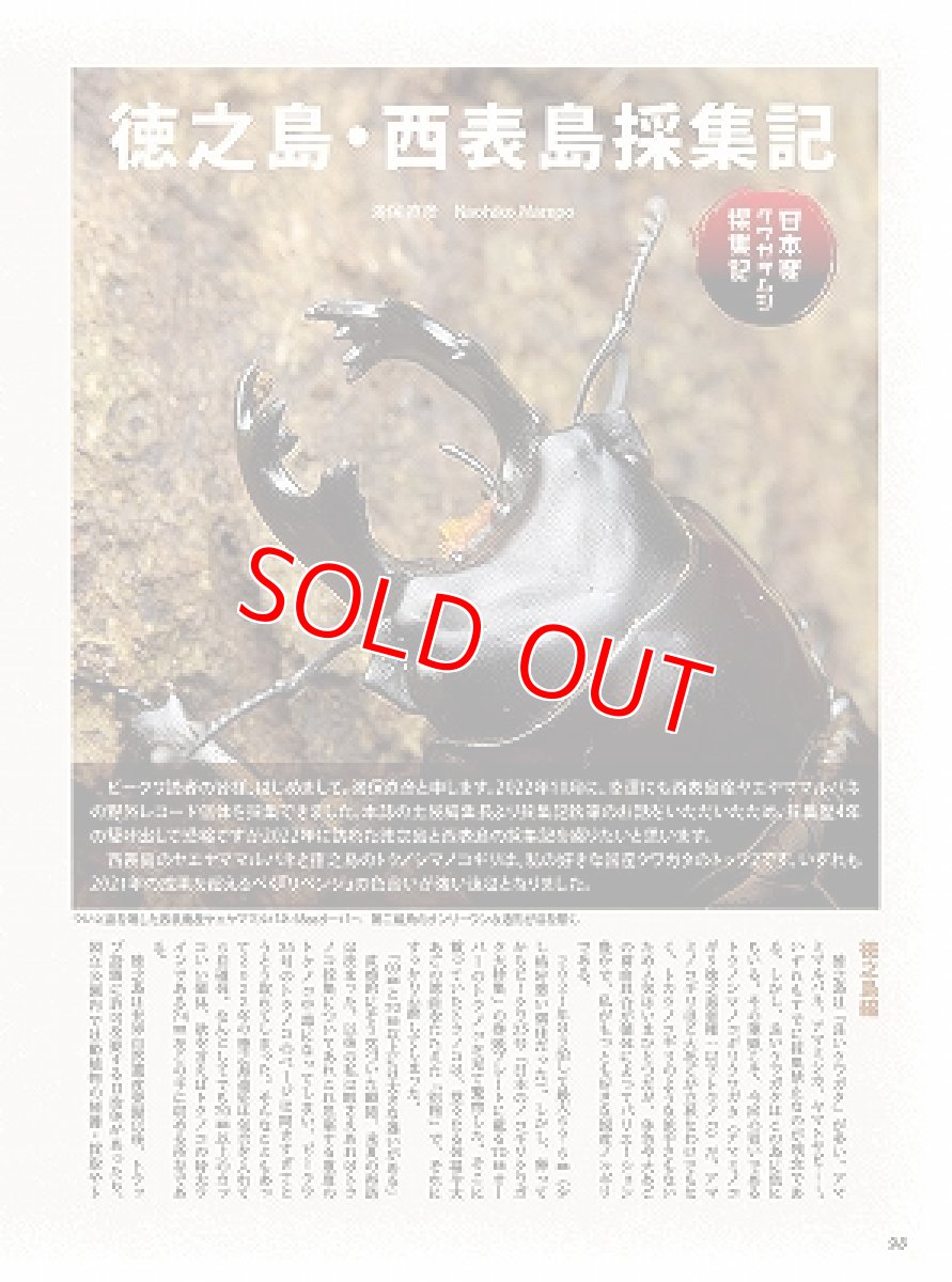 画像7: BE-KUWA No.88 (7)