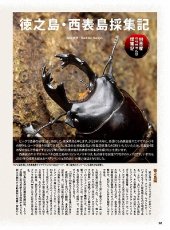 画像7: BE-KUWA No.88 (7)