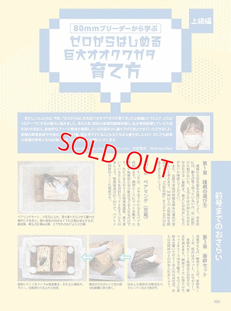 画像8: BE-KUWA No.88 (8)