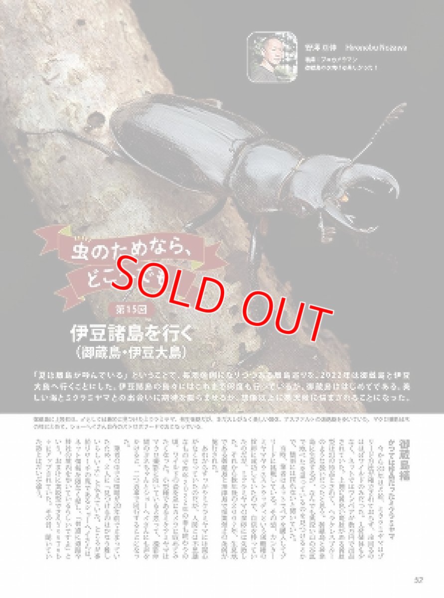 画像6: BE-KUWA No.88 (6)