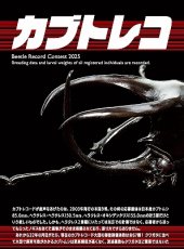 画像3: BE-KUWA No.95 (3)