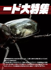 画像4: BE-KUWA No.95 (4)