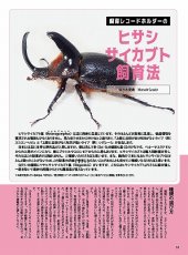 画像7: BE-KUWA No.95 (7)