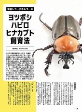 画像8: BE-KUWA No.95 (8)