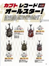 画像9: BE-KUWA No.95 (9)