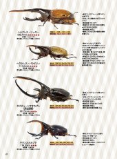 画像10: BE-KUWA No.95 (10)
