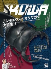 画像1: BE-KUWA No.96 (1)