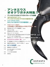画像2: BE-KUWA No.96 (2)