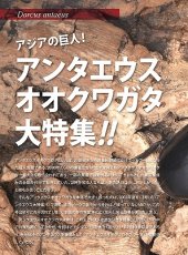 画像3: BE-KUWA No.96 (3)