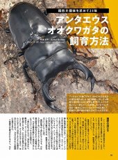 画像9: BE-KUWA No.96 (9)