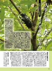 画像10: BE-KUWA No.96 (10)