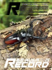 画像3: BE-KUWA No.97 (3)