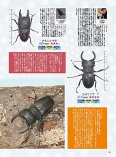 画像7: BE-KUWA No.97 (7)