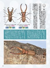 画像8: BE-KUWA No.97 (8)