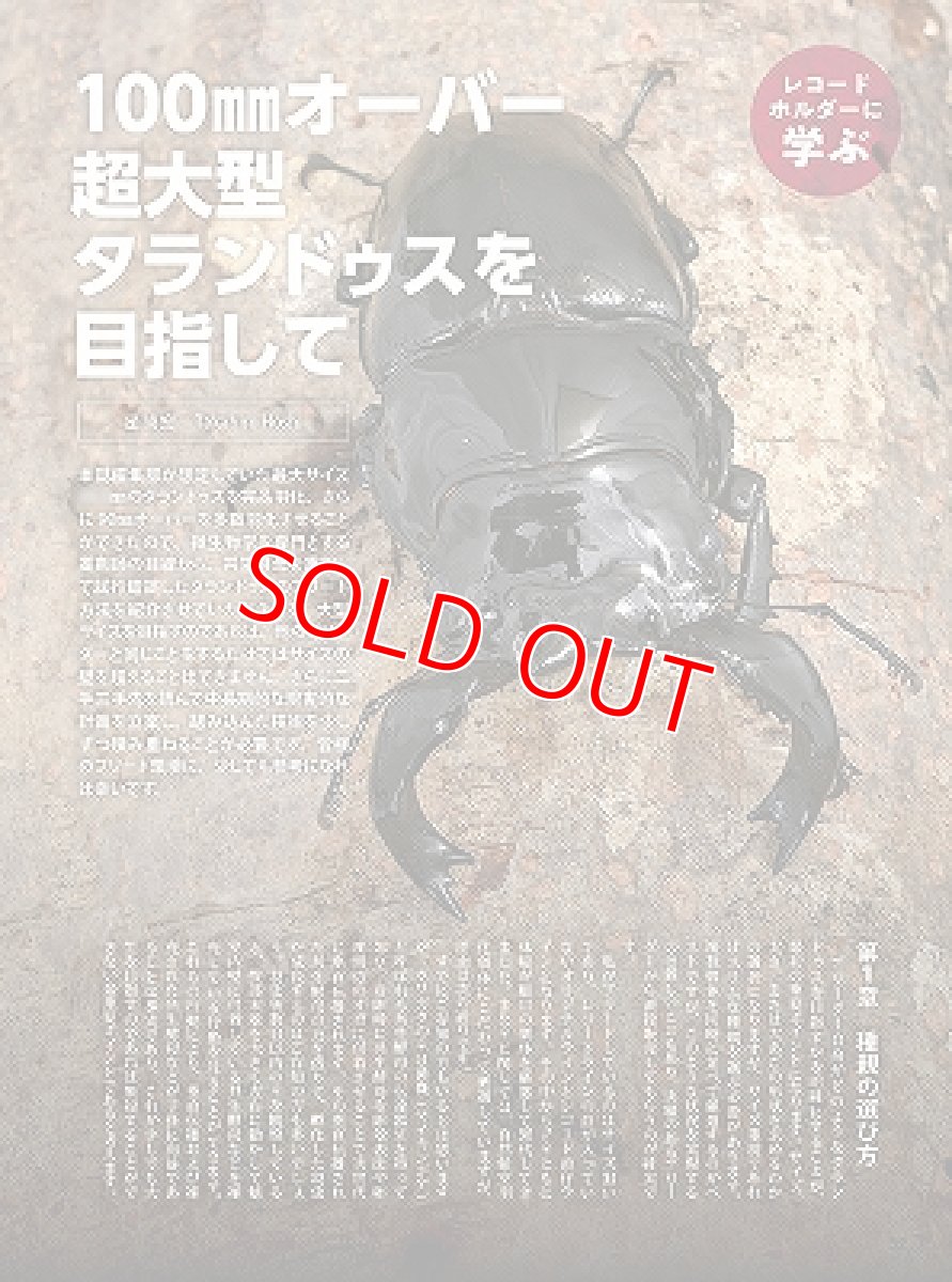 画像9: BE-KUWA No.97 (9)