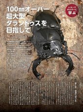 画像9: BE-KUWA No.97 (9)