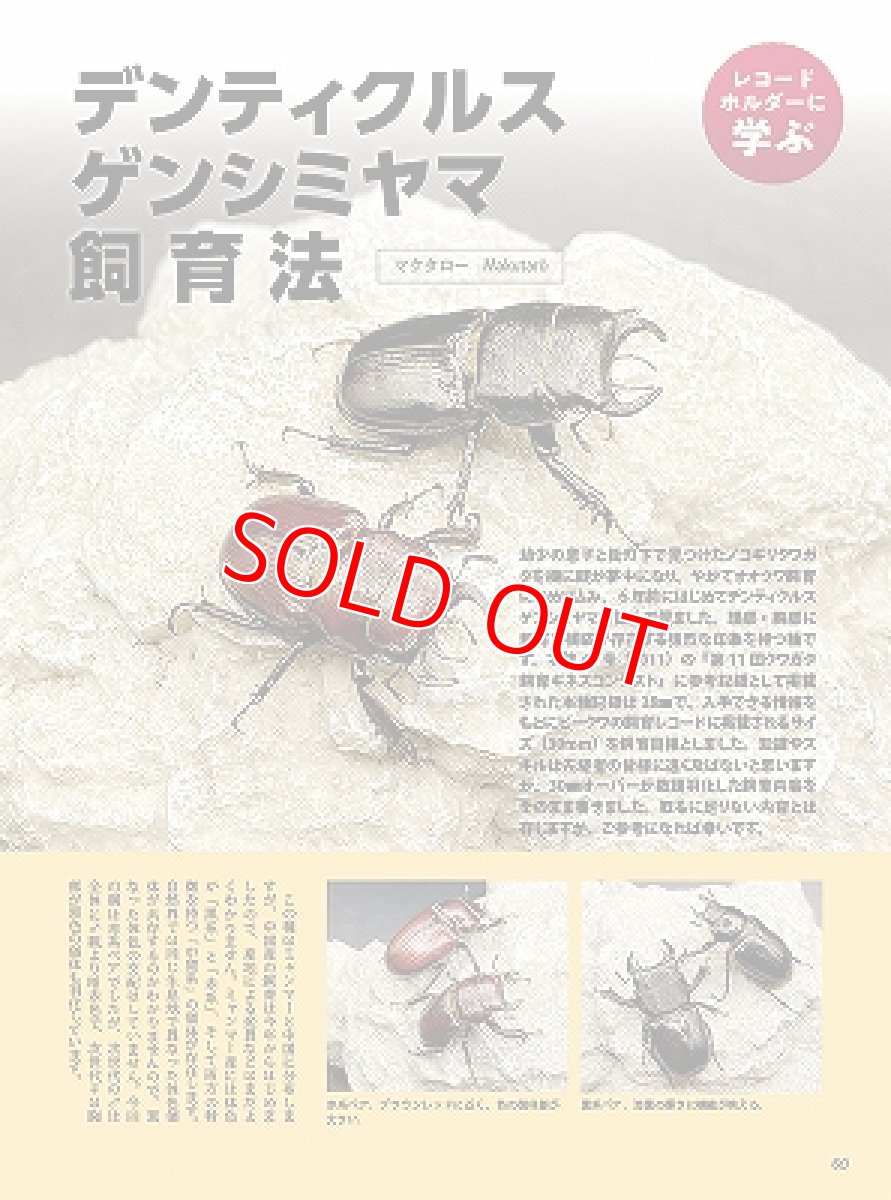 画像10: BE-KUWA No.97 (10)