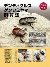 画像10: BE-KUWA No.97 (10)