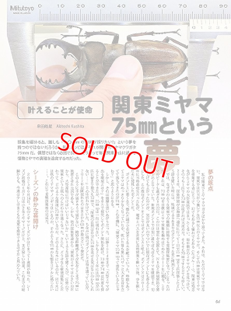 画像11: BE-KUWA No.97 (11)