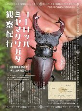 画像13: BE-KUWA No.97 (13)