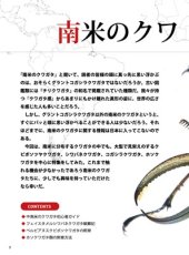 画像3: BE-KUWA No.98 (3)