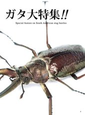 画像4: BE-KUWA No.98 (4)