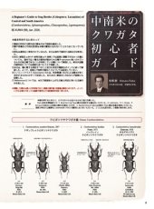 画像5: BE-KUWA No.98 (5)