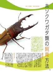 画像8: BE-KUWA No.98 (8)