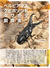 画像9: BE-KUWA No.98 (9)