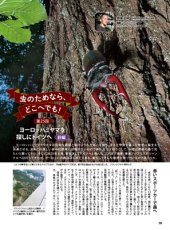 画像11: BE-KUWA No.98 (11)