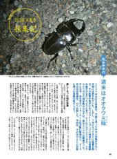 画像12: BE-KUWA No.98 (12)