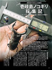 画像7: BE-KUWA No.99 (7)
