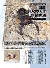 画像8: BE-KUWA No.99 (8)