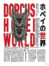 画像10: BE-KUWA No.99 (10)