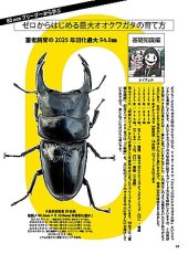 画像11: BE-KUWA No.99 (11)