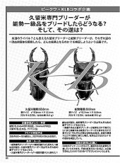 画像12: BE-KUWA No.99 (12)
