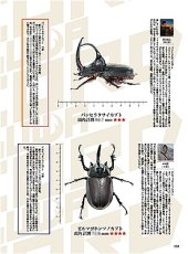 画像14: BE-KUWA No.99 (14)
