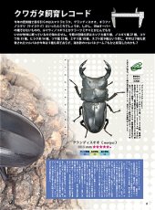 画像6: BE-KUWA No.101 (6)