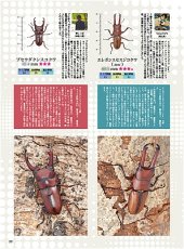 画像8: BE-KUWA No.101 (8)