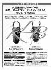 画像11: BE-KUWA No.101 (11)