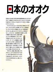 画像2: BE-KUWA No.100 (2)