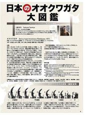 画像5: BE-KUWA No.100 (5)