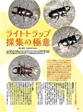 画像9: BE-KUWA No.100 (9)
