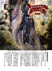 画像10: BE-KUWA No.100 (10)