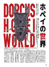 画像12: BE-KUWA No.100 (12)
