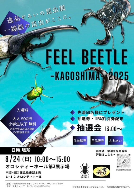 "FEEL BEETLE-KAGOSHIMA-2025" inオロシティホール