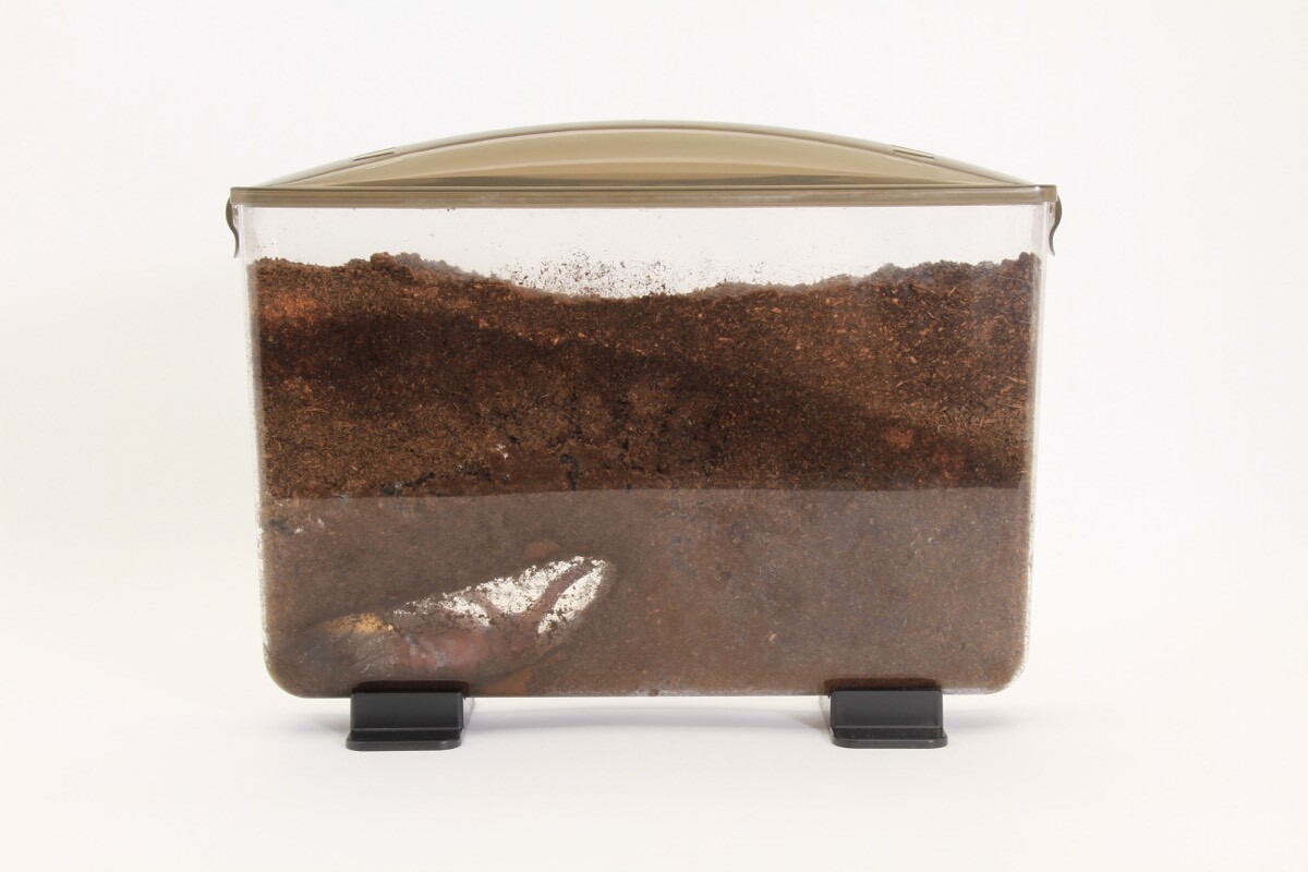 昆虫ショップ虫どん